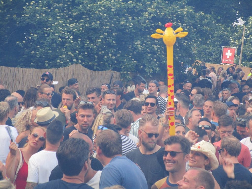 Amsterdamse Bos maakt zich op voor snoeihard 909 festival 