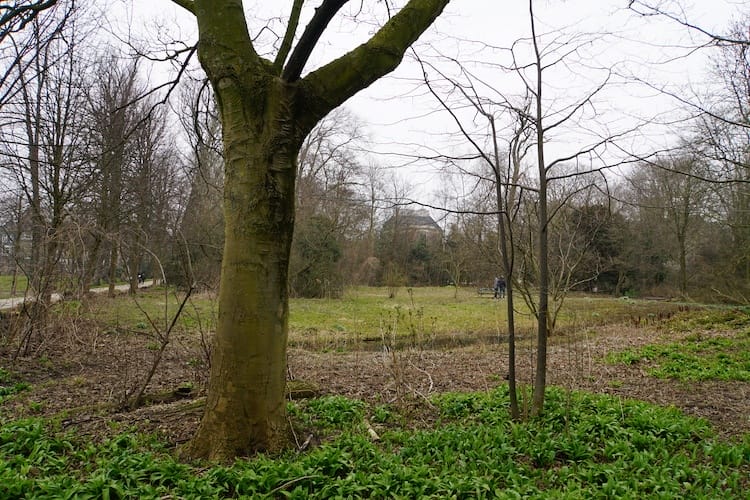 Park Frankendael